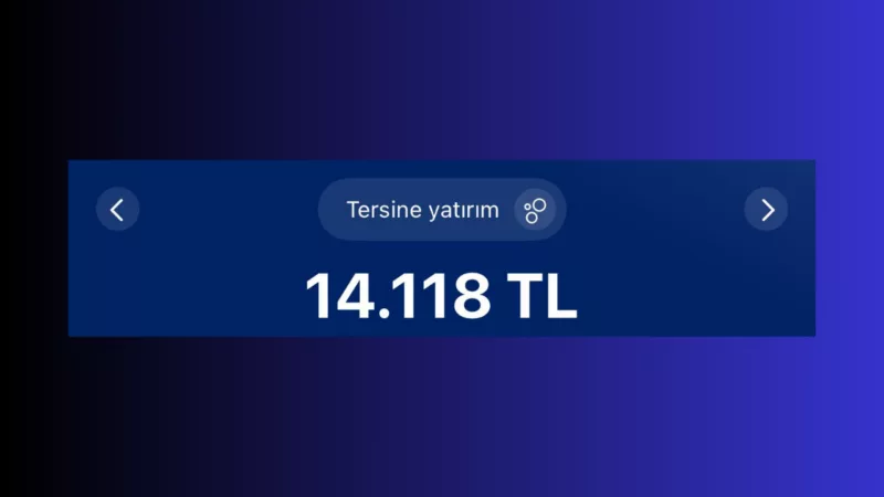 8 Mart 2025 portföy