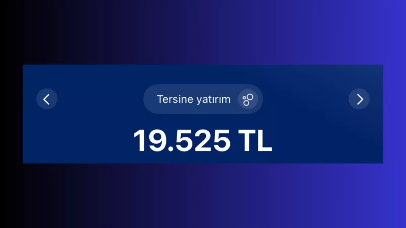 29 mart 2025 portföy